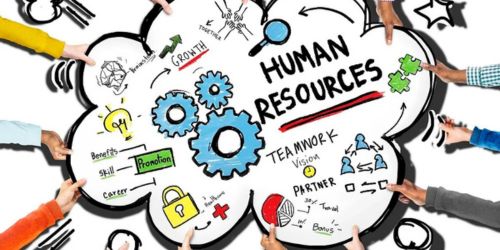 The Role of a Human Resources Business Partner in Strategic Planning